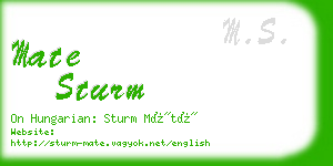 mate sturm business card
